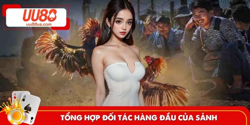 Tổng hợp đối tác hàng đầu liên kết với sảnh
