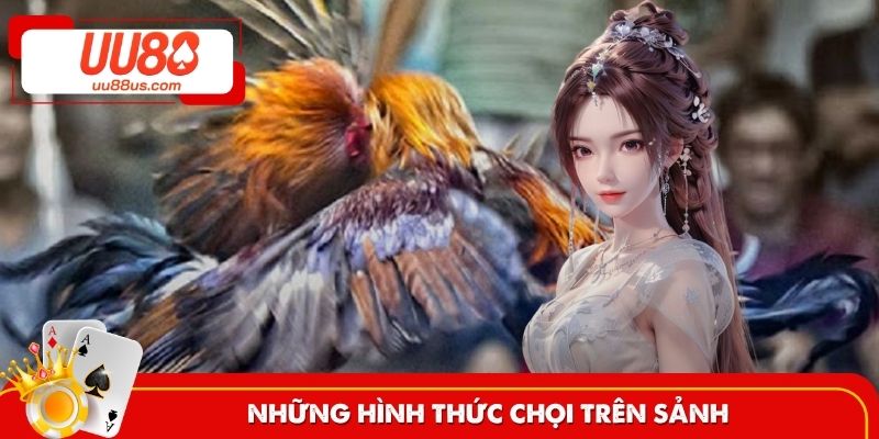 Những hình thức chọi kê nổi tiếng trên nền tảng