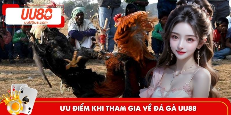 Điểm mạnh đặc sắc khi tham gia chọi kê trên nền tảng