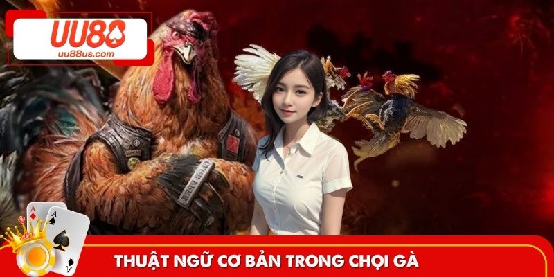 Thuật ngữ cơ bản trong trận đá gà