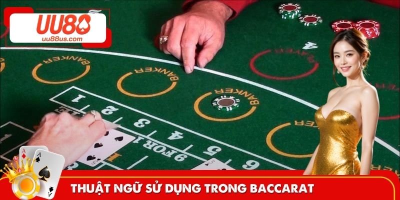 Tổng hợp các thuật ngữ dùng trong Baccarat